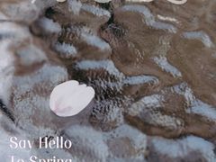 -玛格萝妮比萨屋(四平店)