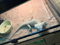 -藦茜花园宠物主题亲子互动体验馆(国顺东路店)