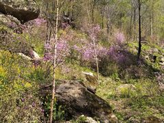 -本溪老边沟风景区