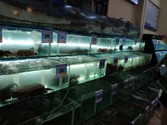 -琼大师东方烤乳猪(亚特兰蒂斯店)