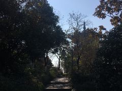 -杭州半山国家森林公园