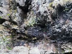 -黄山翡翠谷景区