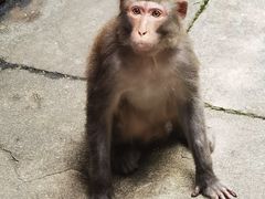 -黔灵山公园