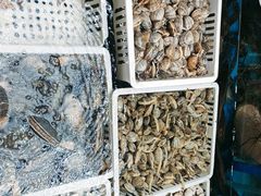 -明本湛江鸡•海鲜小厨(陈家祠店)