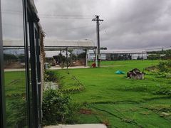 -美家乐农庄·露营·团建(大治路店)