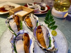 双色蚝-蚝门九式(莲花店)