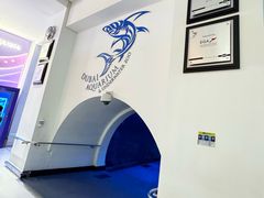 -迪拜水族馆及水下动物园