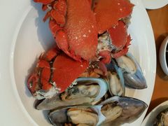 -视界美食自助餐厅·石家庄希尔顿酒店