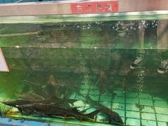 -天怡·鱼工厂(梅溪湖店)