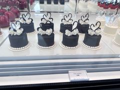 -BLACKSWAN黑天鹅(环球店)