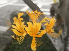 -嬉乐湾休闲旅游区