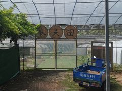 -前小桔亲子创意农场·草莓采摘·露营烧烤