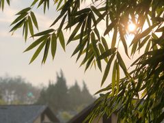 -崇阳三特浪口温泉