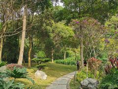 -云溪植物园