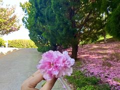 -石岛赤山风景区
