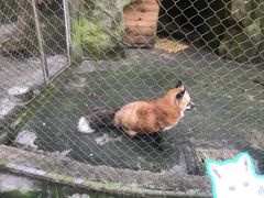 -杭州动物园