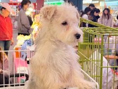 -友谊阳光城
