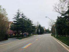 -日照海滨国家森林公园