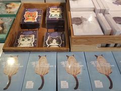 -猫咪博物馆(顶澳仔猫街店)