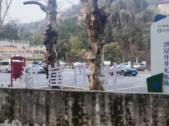 -洪崖丹井