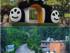 -栾川竹海野生动物园