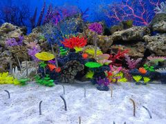 -成都浩海立方海洋公园