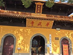 -亭林园-华藏寺