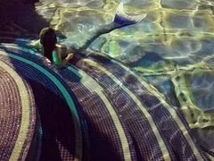 游泳池-杰仕健身百合天地会所(海宁百合新城店)