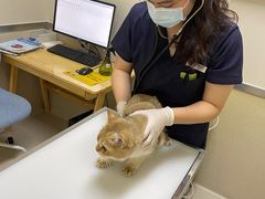 -爱妮康宠物医院·干细胞免疫细胞·肿瘤·心脏(张江店)