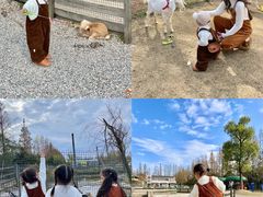 -前小桔亲子创意农场·草莓采摘·露营烧烤