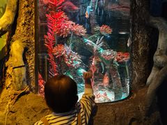 -沈阳海洋探索中心