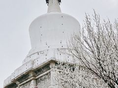 -北海公园