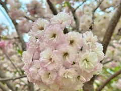 -盈香心动乐园
