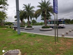 -宝安西湾红树林湿地公园