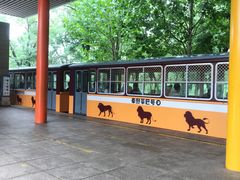-秦皇岛野生动物园