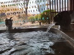 -中家鑫园温泉酒店鑫悦汤泉