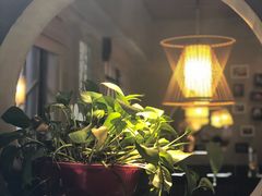 -探窝·竹笙椰子鸡(杨箕店)