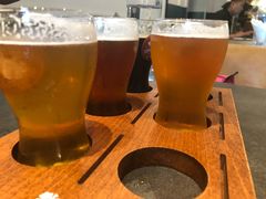 -Boxing Cat Brewery拳击猫精酿啤酒馆(永福店)