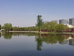 -大兴滨河森林公园