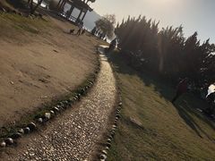 -东湖落雁景区