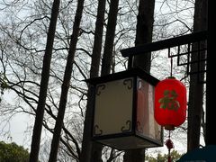 -上海醉白池公园