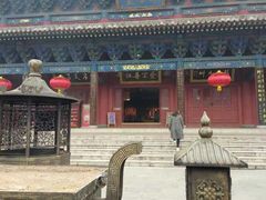 -大槐树寻根祭祖园