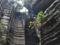 -梭布垭石林景区