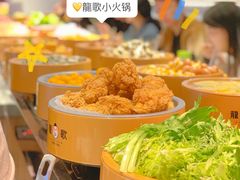 -龍歌自助小火锅(兰山上海路万达店)