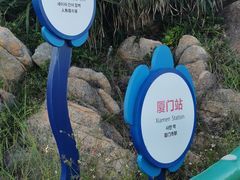 -广东惠东海龟国家级自然保护区