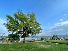 -东钱湖旅游度假区