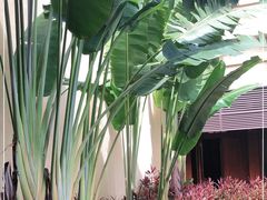 -西双版纳融创皇冠假日度假酒店