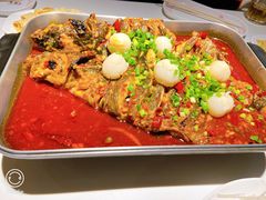 -鱼酷活鱼烤鱼(沈阳大悦城店)