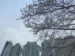 -西北湖绿化广场