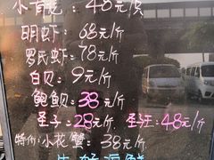 -蚝专家